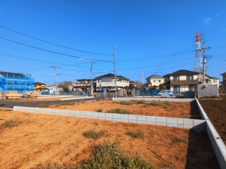 ���n�y�n�ʐ^�@-