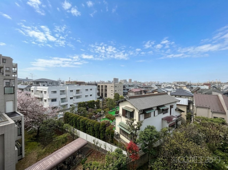 ���̑��@�S�n�悢����������ꂻ���Ȓ��]�ł�