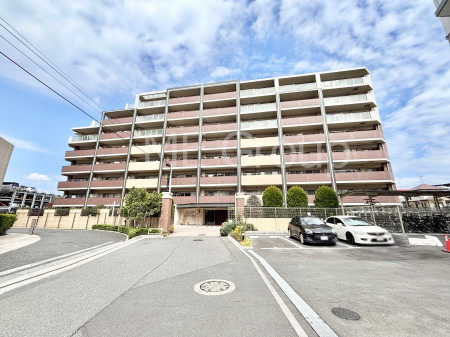 ���n�O�ώʐ^�@��Ƃ肪�Ί�𐶂ސS�n�悢����  