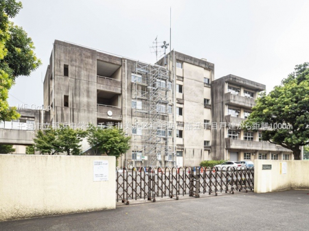 ���ӊ��@���w�Z 1000m ��t�s����l���w�Z