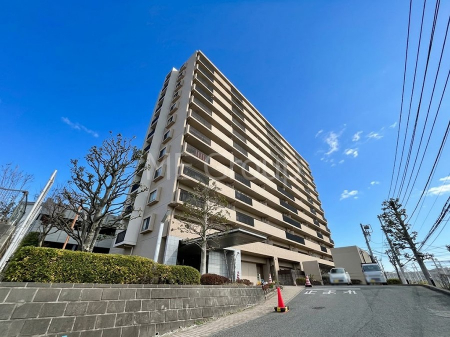 ���n�O�ώʐ^�@��Ƃ肪�Ί�𐶂ސS�n�悢���� 