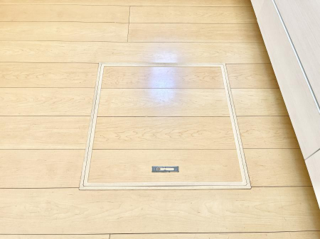 ���̑����ρ@�������[�t���I���p�i�E���p�i�̎��[�ɂ��劈��B