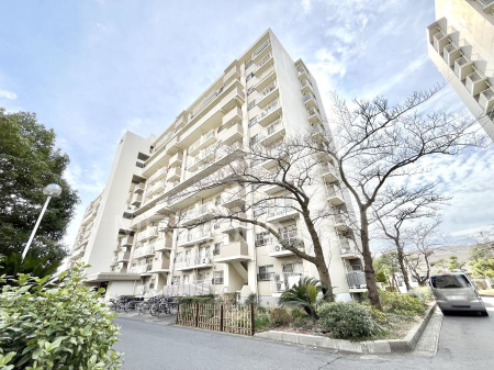 ���n�O�ώʐ^�@��Ƃ肪�Ί�𐶂ސS�n�悢���� 