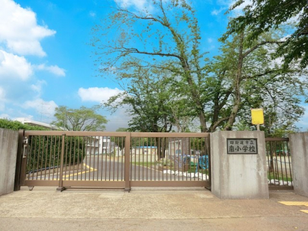 ���ӊ��@���w�Z 900m �l�X���s���쏬�w�Z