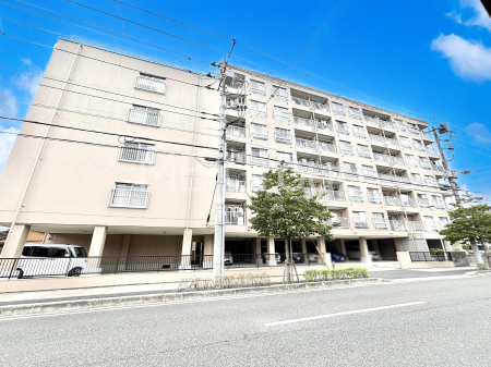 ���n�O�ώʐ^�@����z���ł��Ƒ��̏Ί���P��