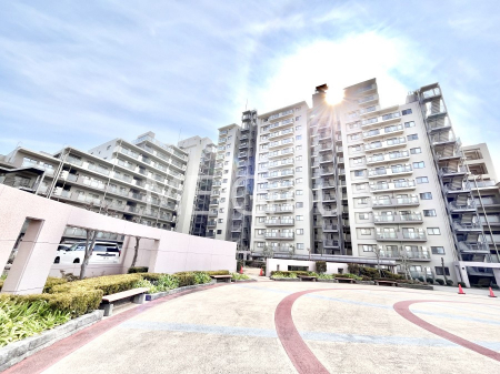 ���n�O�ώʐ^�@��Ƃ肪�Ί�𐶂ސS�n�悢����   