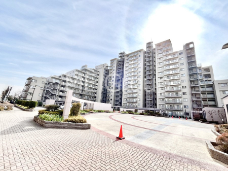 ���n�O�ώʐ^�@��������n�܂�V�����������������܂��I