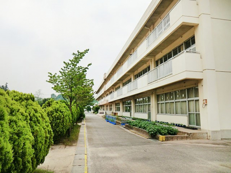 ���ӊ��@���w�Z 1200m ��c�s����c�ˏ��w�Z