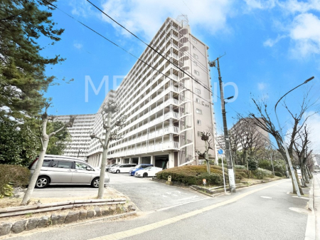 ���n�O�ώʐ^�@��������n�܂�V�����������������܂��I