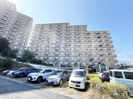 ���n�O�ώʐ^�@����z���ł��Ƒ��̏Ί���P��