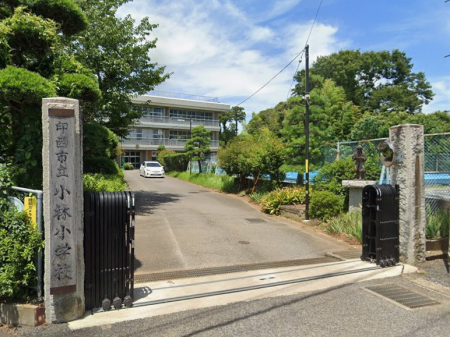 ���ӊ��@���w�Z 1300m �󐼎s�����я��w�Z