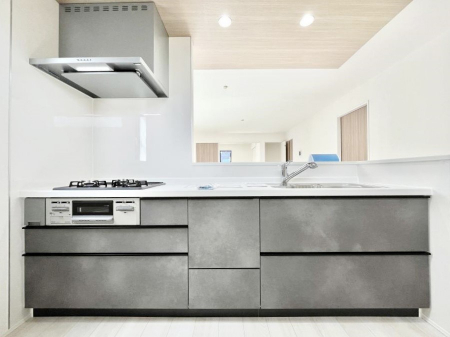 �L�b�`���@�������������I�ɁA�y�����I�V�X�e���L�b�`��  �@