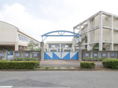 ���ӊ��@���w�Z 1000m �󐼎s�����іk���w�Z