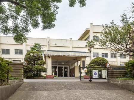 ���ӊ��@���w�Z 800m ��t�s�����쏬�w�Z