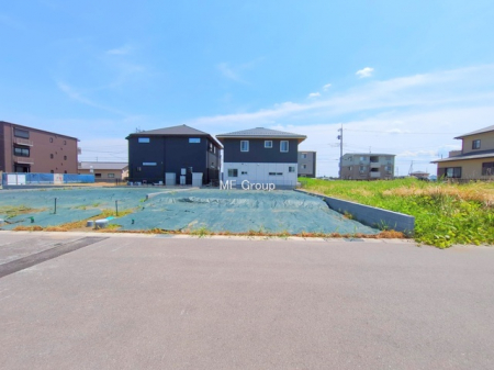 ���n�y�n�ʐ^�@-