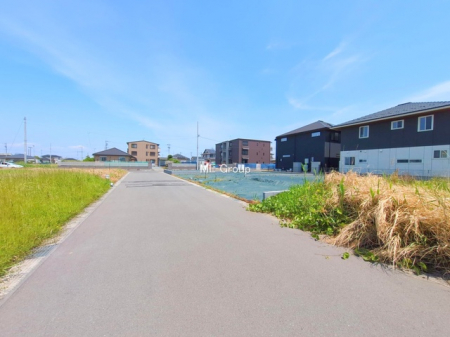 ���n�y�n�ʐ^�@-