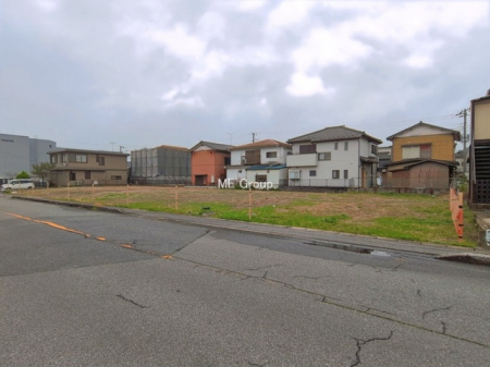 ���n�y�n�ʐ^�@-