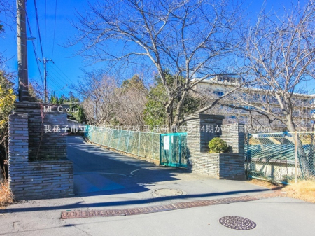 ���ӊ��@���w�Z 2500m �䑷�q�s���v���ƒ��w�Z