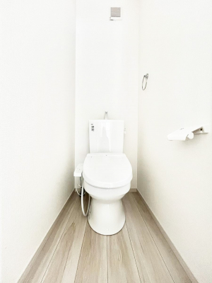 �g�C���@�����`Toilet�`�@�Y��E�X�b�L���E���K�ȃE�H�V�����b�g�t�g�C���ł��낰���Ԃł��B�g�C���͖����g�킴��𓾂Ȃ����́B����������ۂ������ł��ˁB�g�C����2��������̂Œ��̍��G���ɕ֗��ł��I