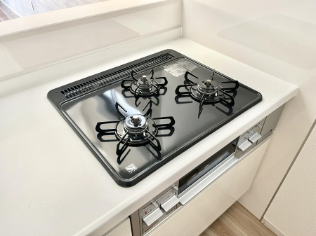 ���̑����ρ@�O���R�����ł���������C�ɂ͂��ǂ肻�������d�l�ʐ^