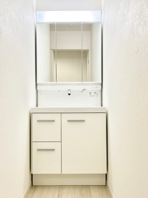 ���ʑ�E���ʏ��@���[�͂Ƌ@�\���ɗD�ꂽ���ʉ��ϑ�