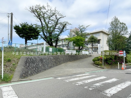 ���ӊ��@���w�Z 1000m ��t�s�����䐼���w�Z