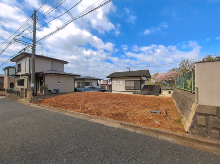 ���n�y�n�ʐ^�@-