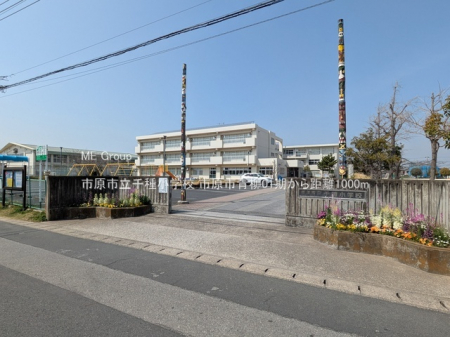 ���ӊ��@���w�Z 1000m �s���s����포�w�Z