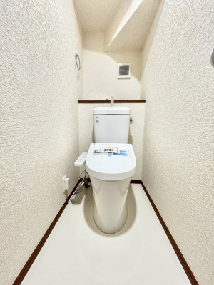 �g�C���@�������̂��锒����Ƃ���������������