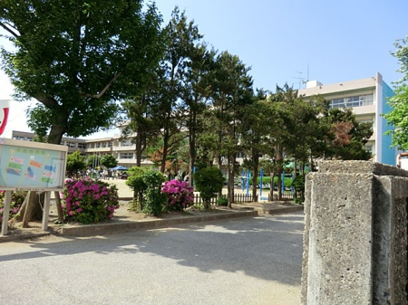 ���ӊ��@���w�Z 290m �����s����a�c�����w�Z