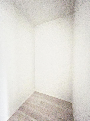 ���̑��@������2�������`Walk-in Closet�`�@��������̗m���������Ă��V���ɂȂ�ɂ����E�H�[�N�C���N���[�[�b�g�B�m���ȊO�ɂ��A���i�g��Ȃ��Ɠd��X�[�c�P�[�X�A�X�g�b�N�i�Ȃǉ��ł��Еt����������Ԃł��B