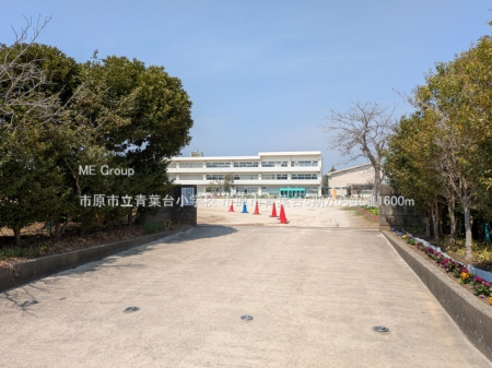 ���ӊ��@���w�Z 1600m �s���s���t�䏬�w�Z