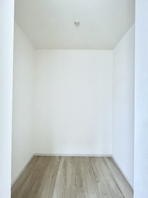���̑��@������1�������`Walk-in Closet�`�@�ߑ��P�[�X�⃉�b�N�����R�ɔz�u�ł��鉜�s���̂���E�H�[�N�C���N���[�[�b�g�B�G�߂̈ߗނ�傫�߂̉ו����܂Ƃ߂��Y��ɐ����ł��A�������̐��������X�b�L���B���܂�